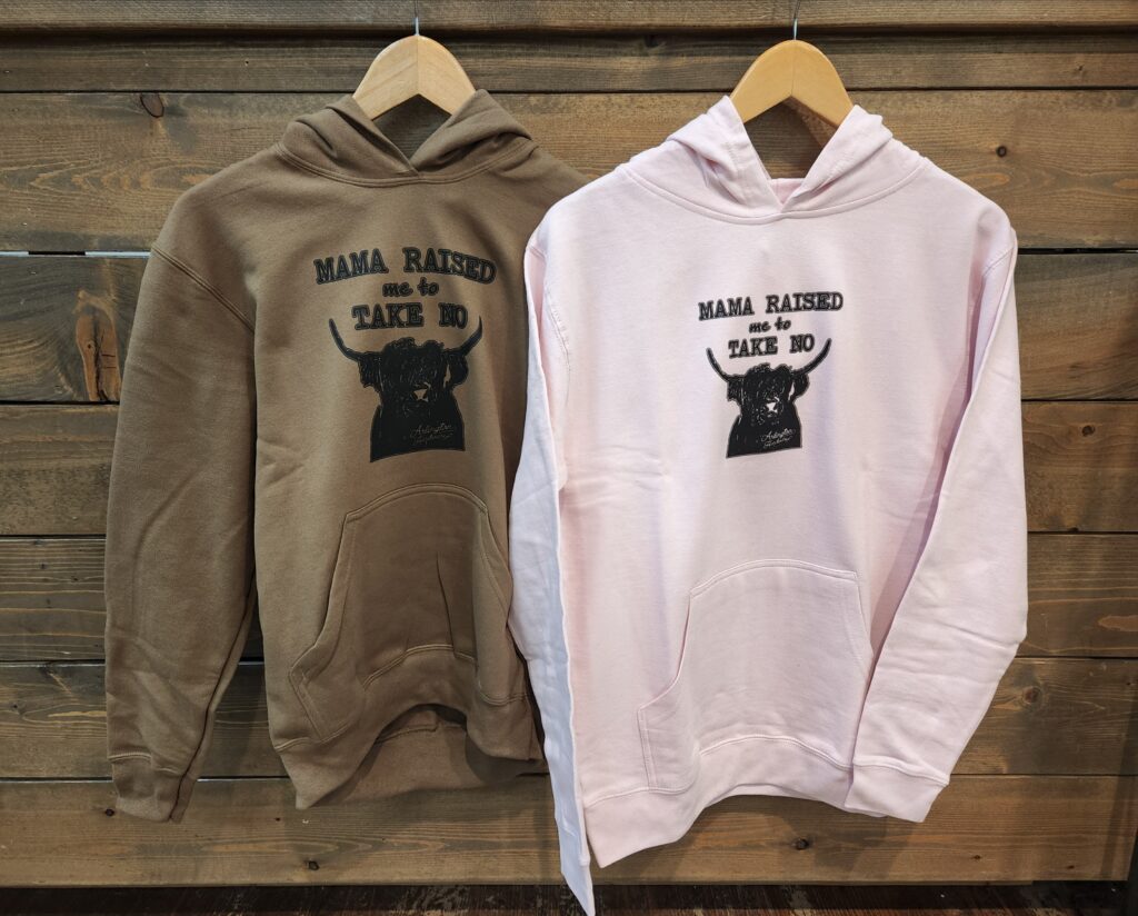 Kids Take No Bull Hoodie